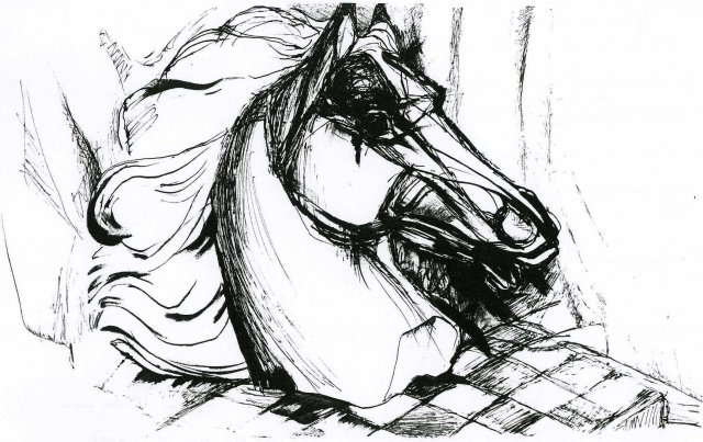 ilion-30x50022