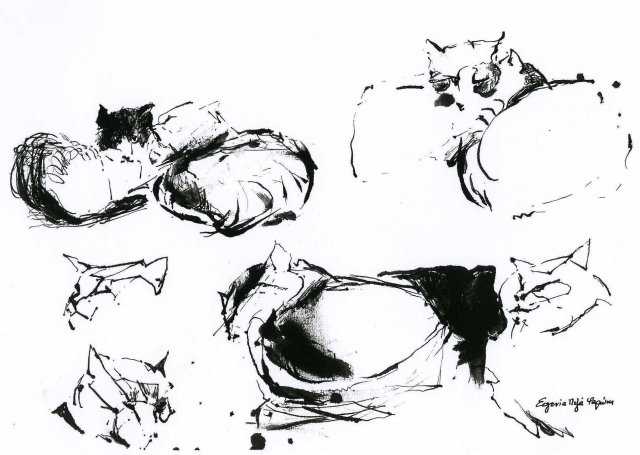 ilion-34x24,5016