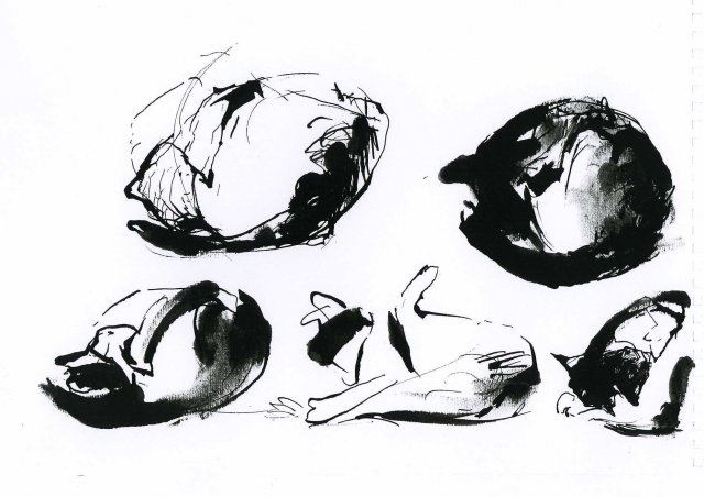 stash-34x24,5017