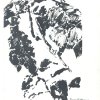 Φυλλώματα 21x29 εκ.