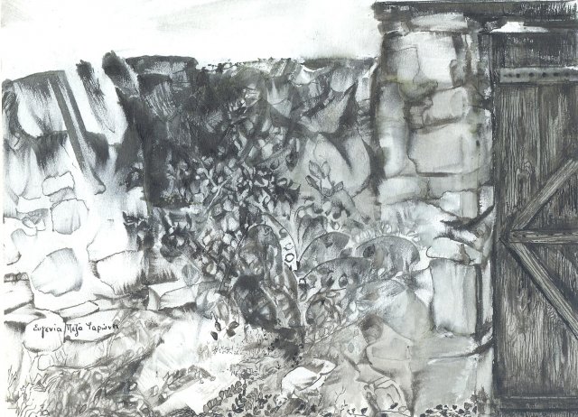 h-gonia2-20x14.5cm
