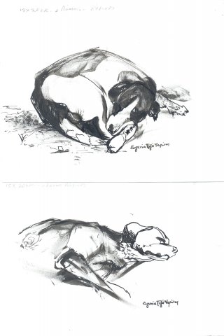o-lakis1-15x20cm