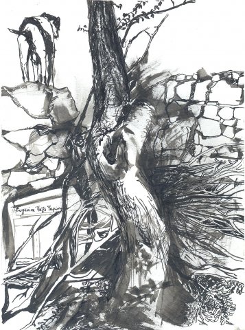 sthn-avli-mas-20x15cm