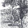 gatoules-29x20.5cm