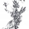 h-avli-mas-24x16cm
