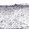 fykia-sto-keros-29x21cm