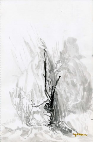ksero-dentro-19x30cm