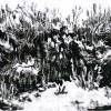 25x35062