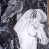 alogo-40x60
