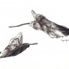 28.5x19.5cm