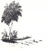 28.5x20cm